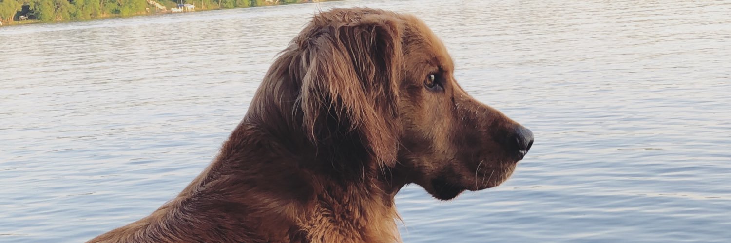 NealTEaton's profile banner image