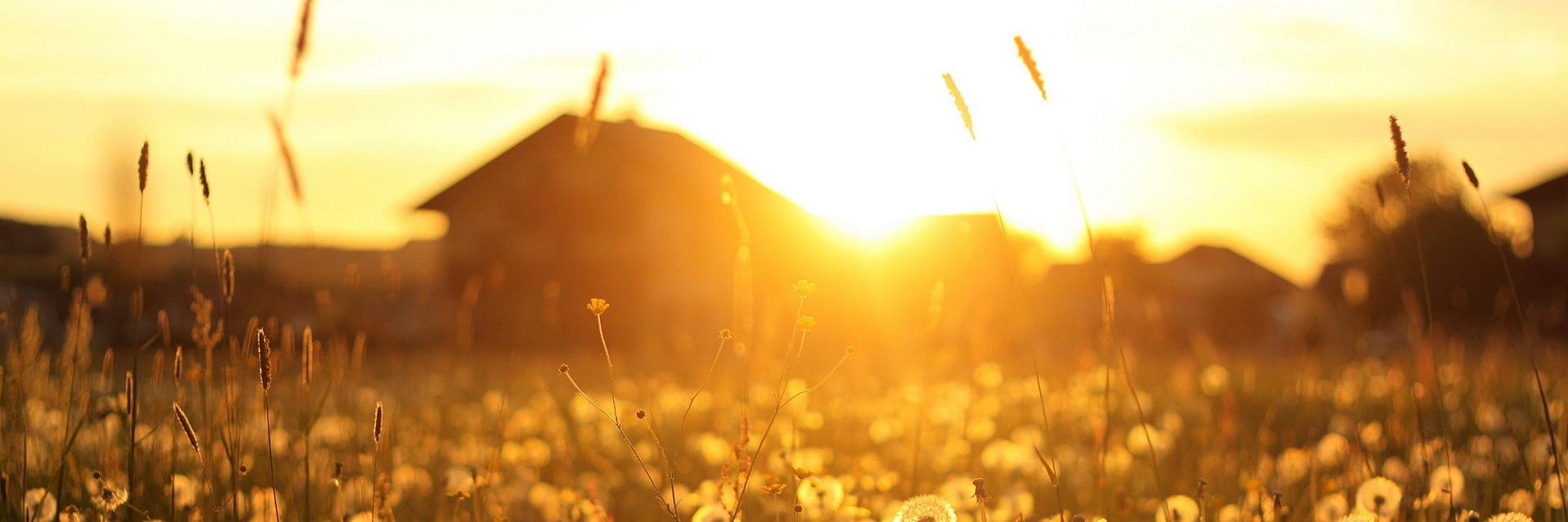 NCSheds's profile banner image