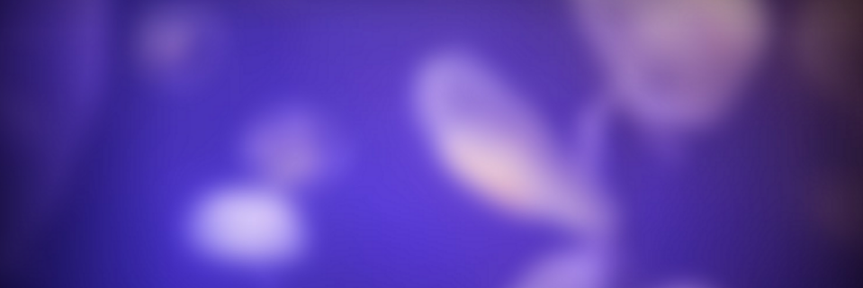 nasece banner
