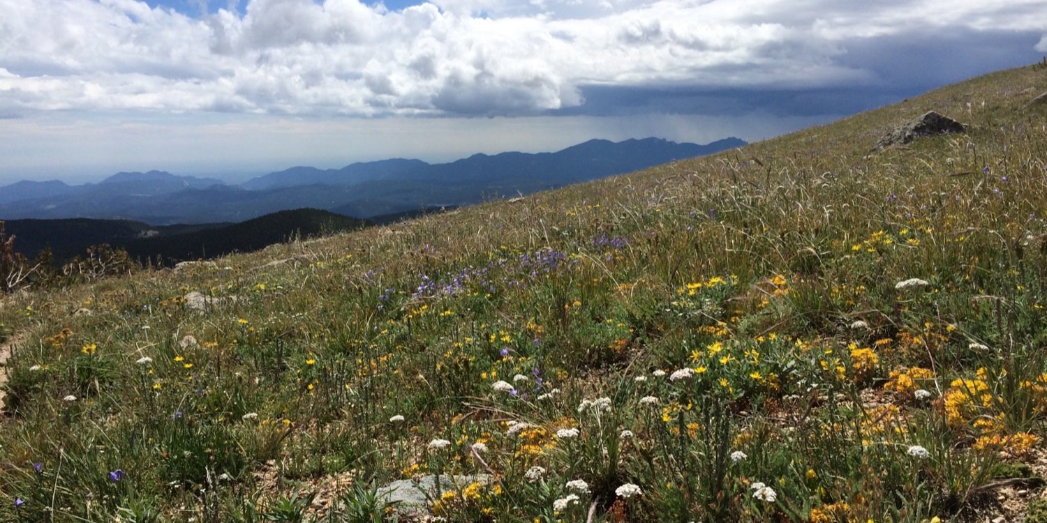 melissajoy321's profile banner image