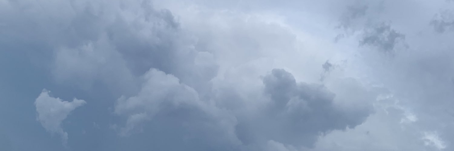 meg banner