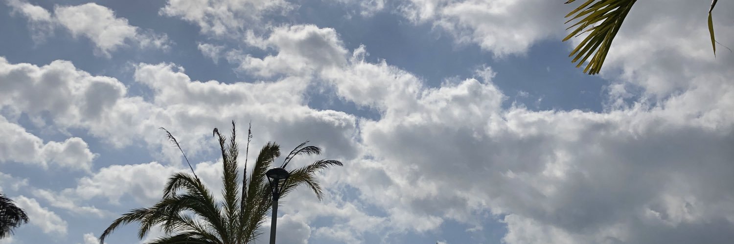 lytterbug's profile banner image