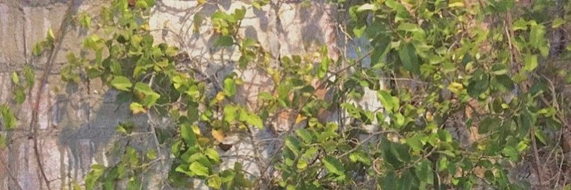 yedted's profile banner image