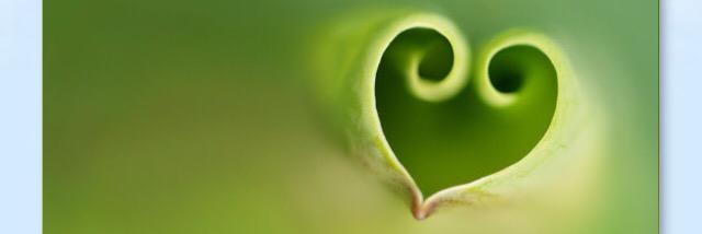 HarlemBombshell's profile banner image