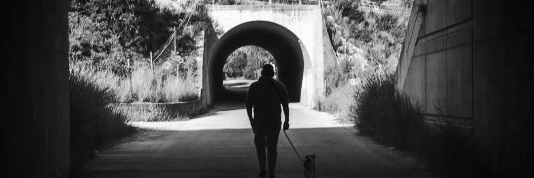 Josele_ty's profile banner image
