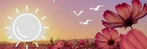 solania18's profile banner image