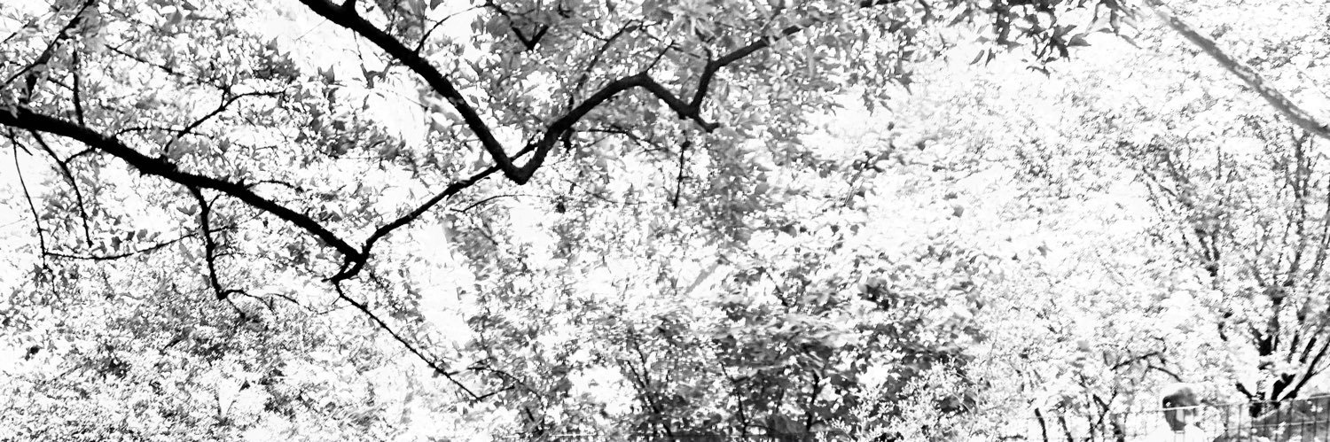 StephenKely's profile banner image