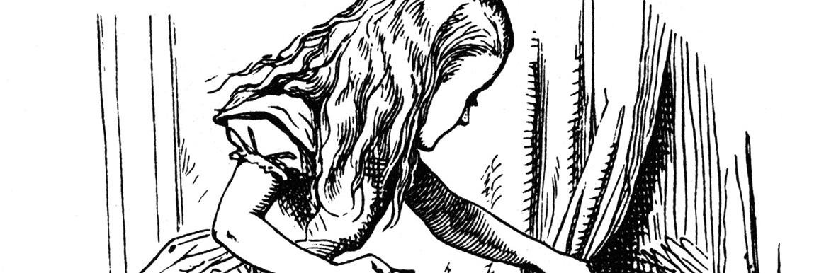 Stefani Soliman banner