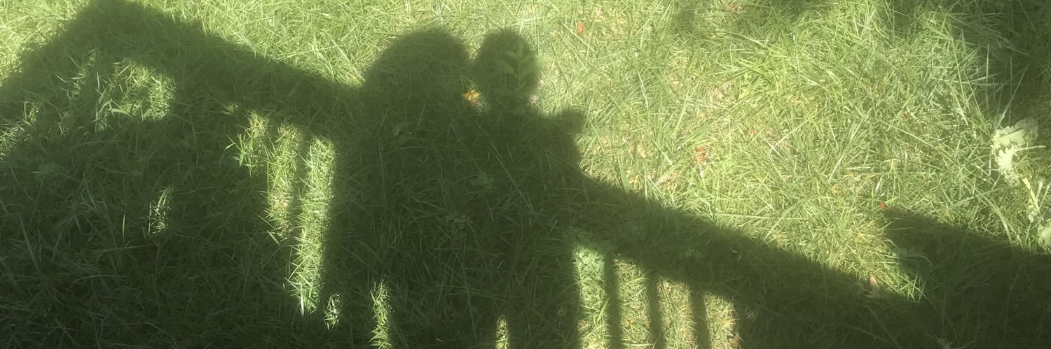 DStarlux's profile banner image