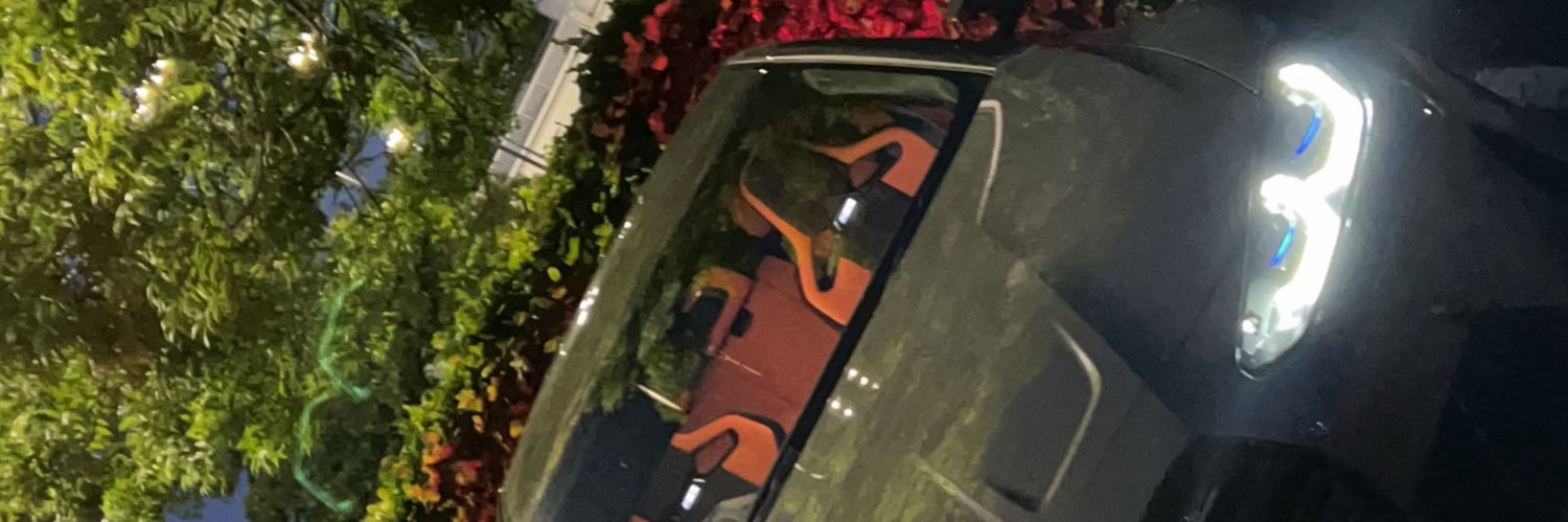 Rèy banner