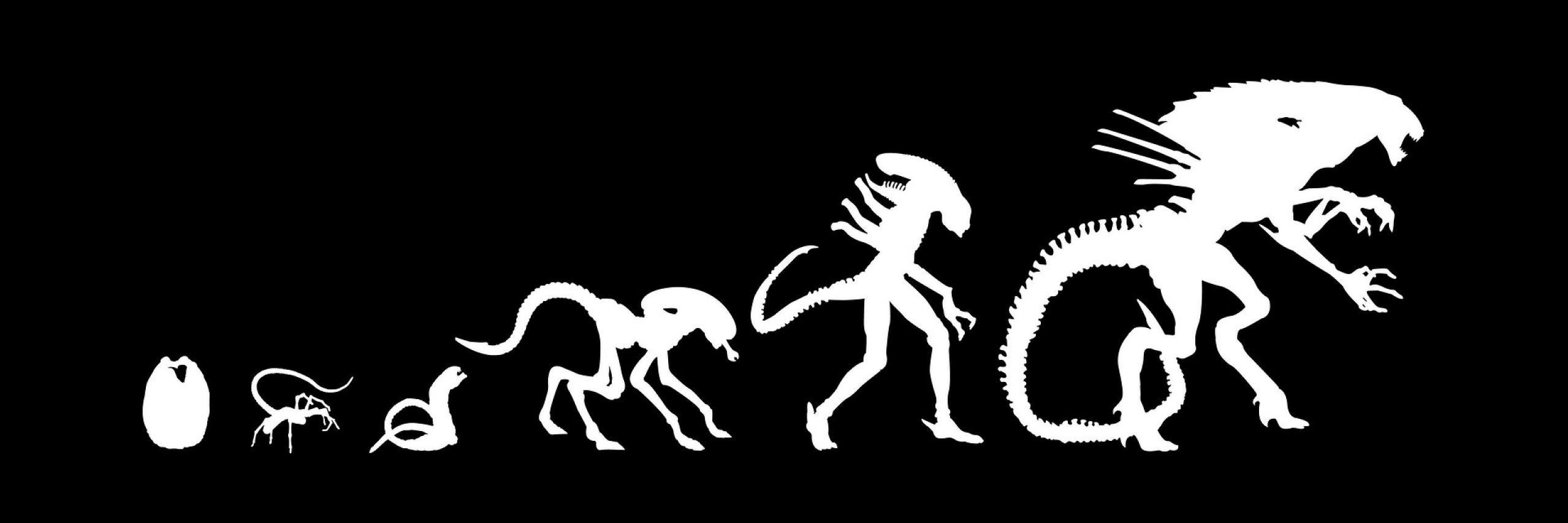 ReaperLife_'s profile banner image