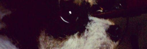 abeepercon's profile banner image