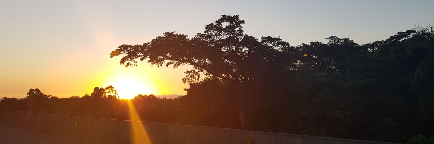danonclemes's profile banner image