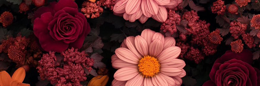ashhhbashhhhh's profile banner image
