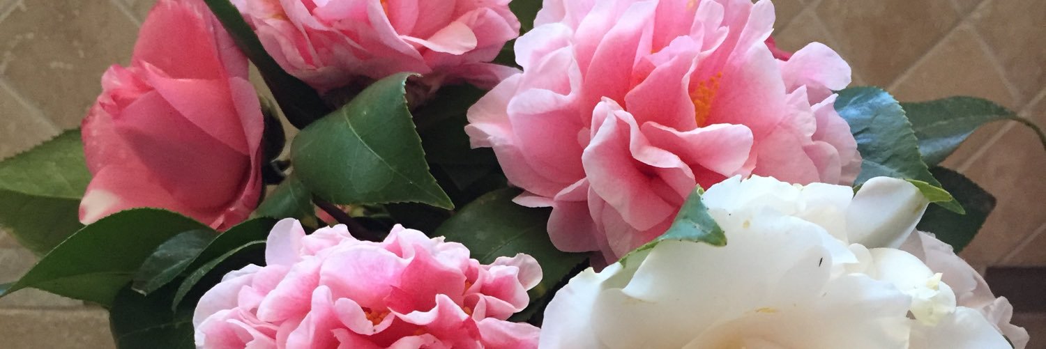 katheathome's profile banner image