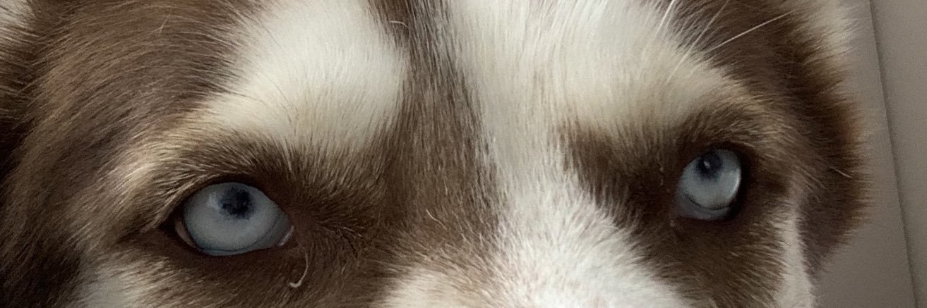 amymatlo's profile banner image