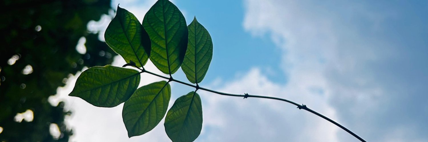 impk74's profile banner image