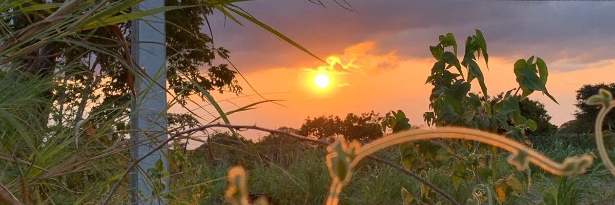 joyycevm's profile banner image
