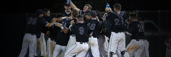 NSU Baseball Profile Banner