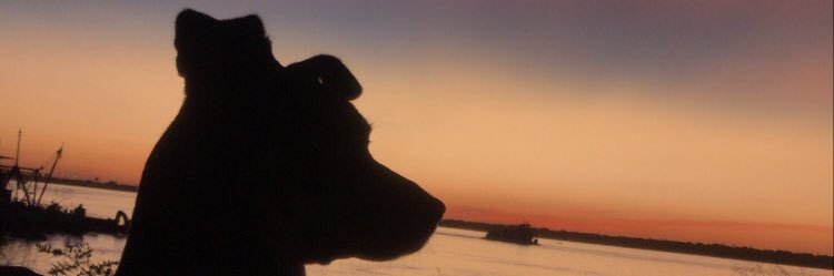 arugdo's profile banner image