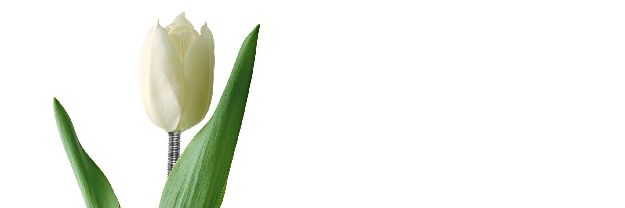 PEPMARCHE's profile banner image