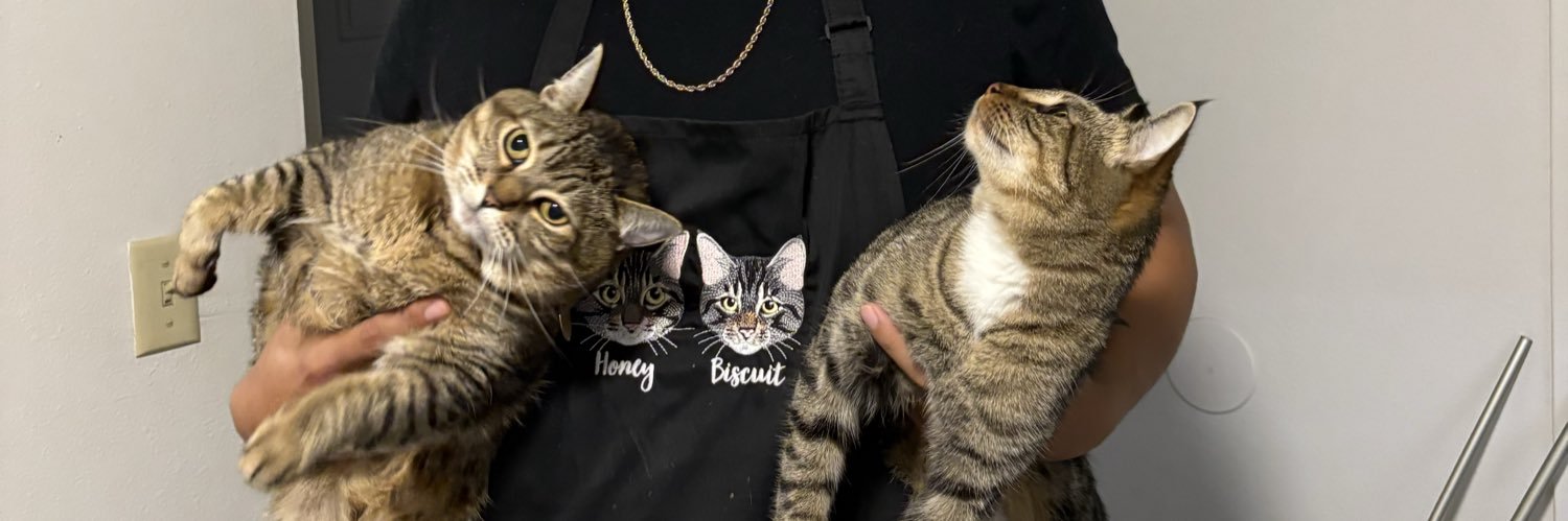 DSunchips's profile banner image