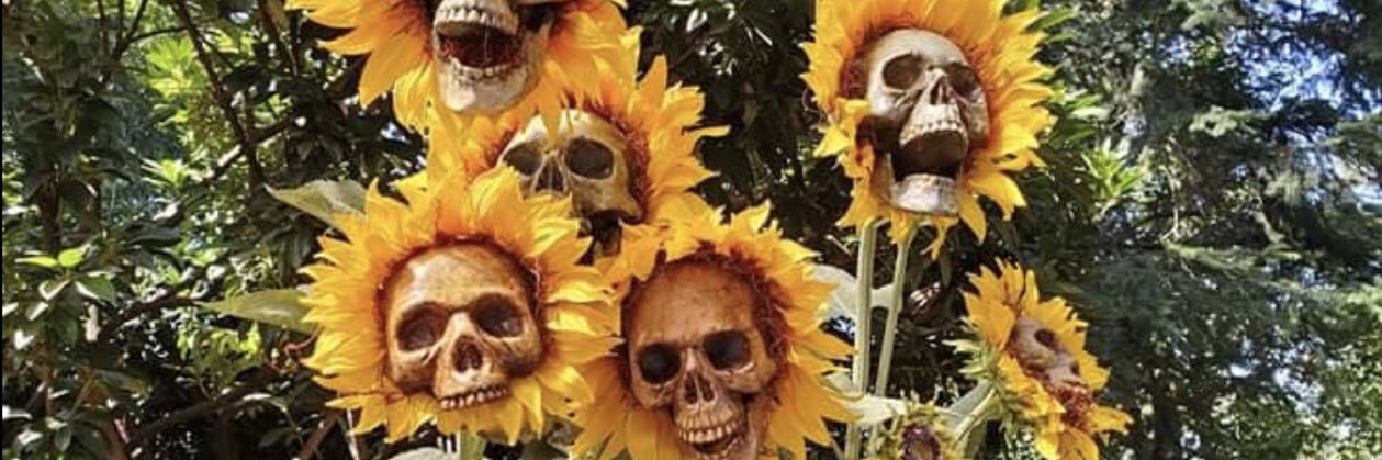 taliawarm's profile banner image