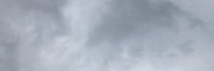 fella hadid 🇹🇹 banner