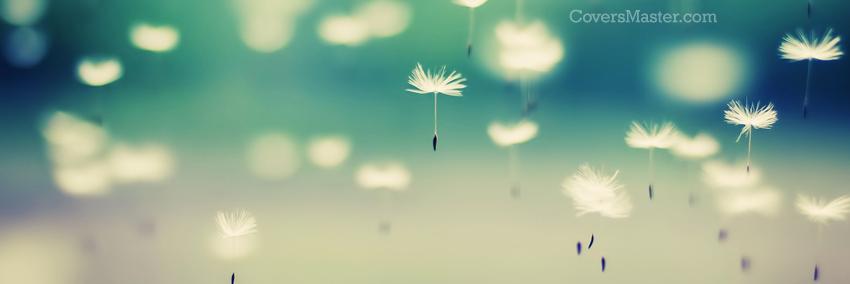 Marinda Jv Rensburg banner