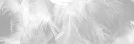 FREYA🤍 banner