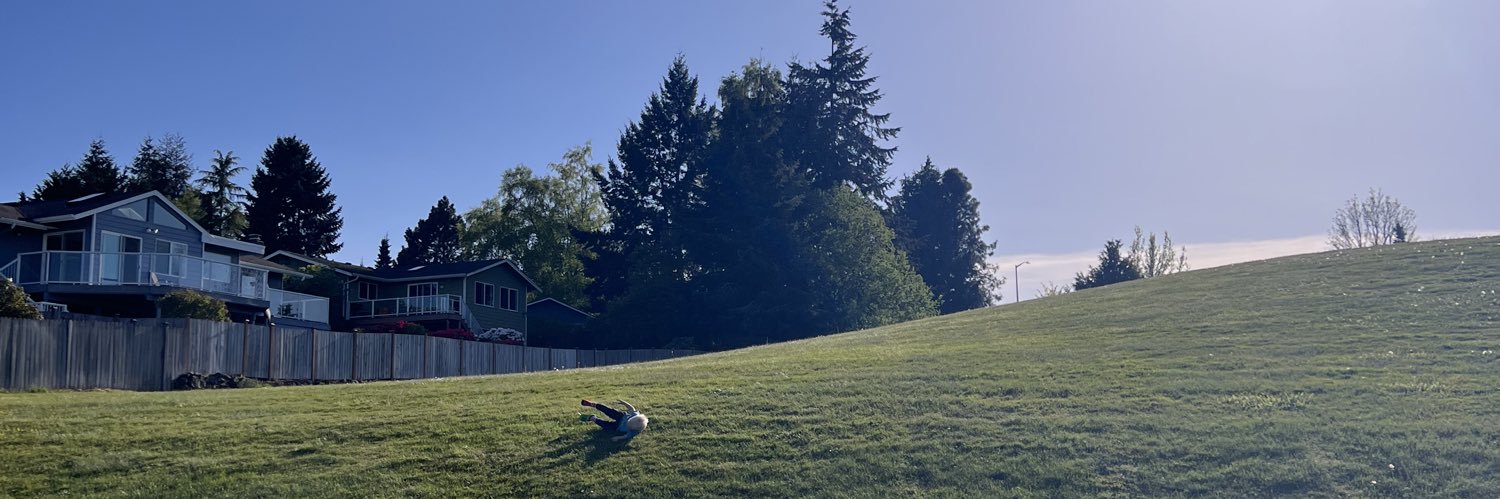PeterRoy's profile banner image