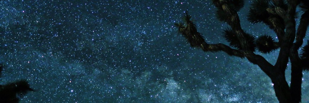 laurenldewitt's profile banner image