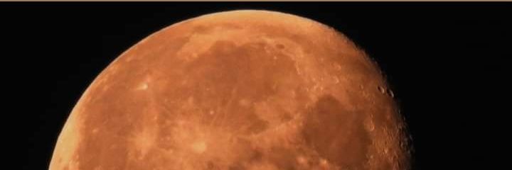 tomshondub's profile banner image