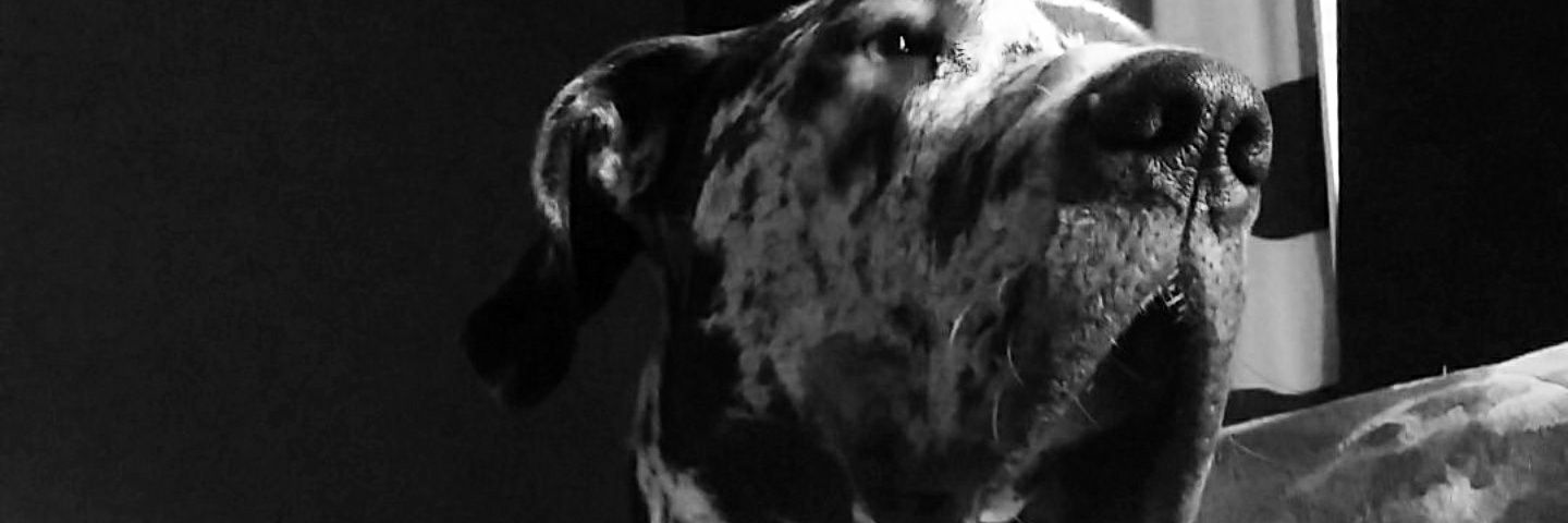 Mrfetters's profile banner image
