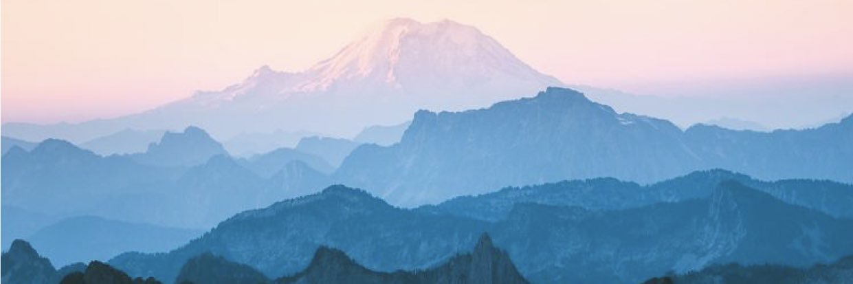 SHScedarpost's profile banner image