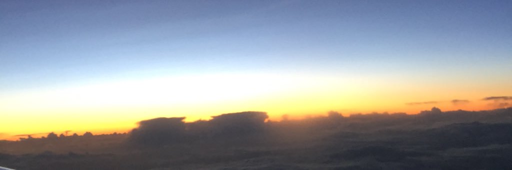 melissacartern's profile banner image