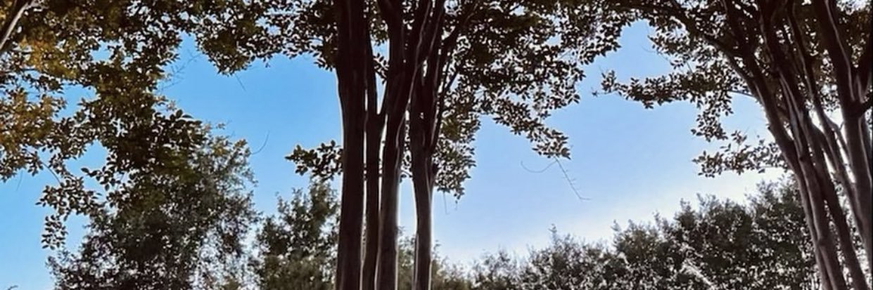madisonrekstis's profile banner image