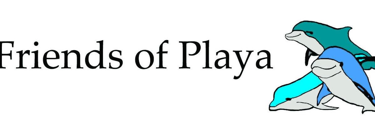 FriendsofPlaya's profile banner image
