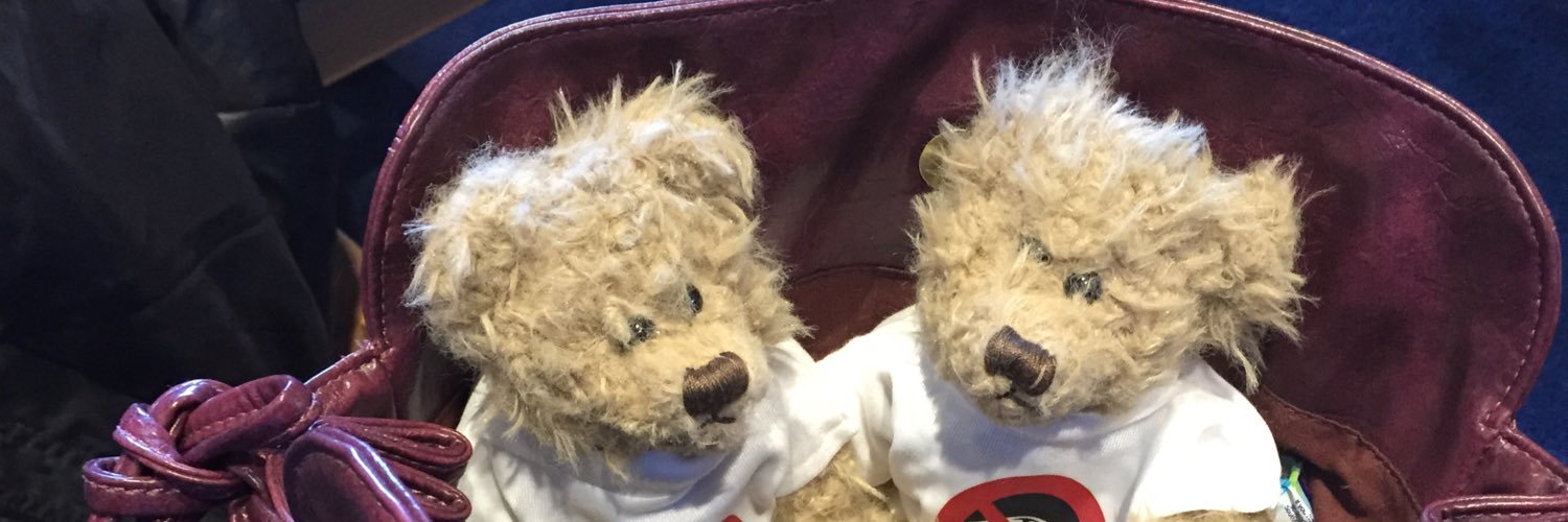 Suzanne Zeedyk's banner