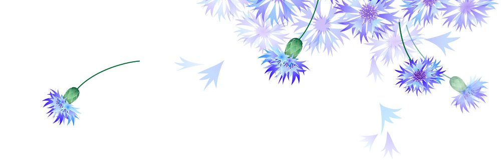 bluelz18's profile banner image
