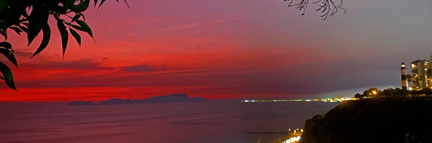 Luciana Salmón banner