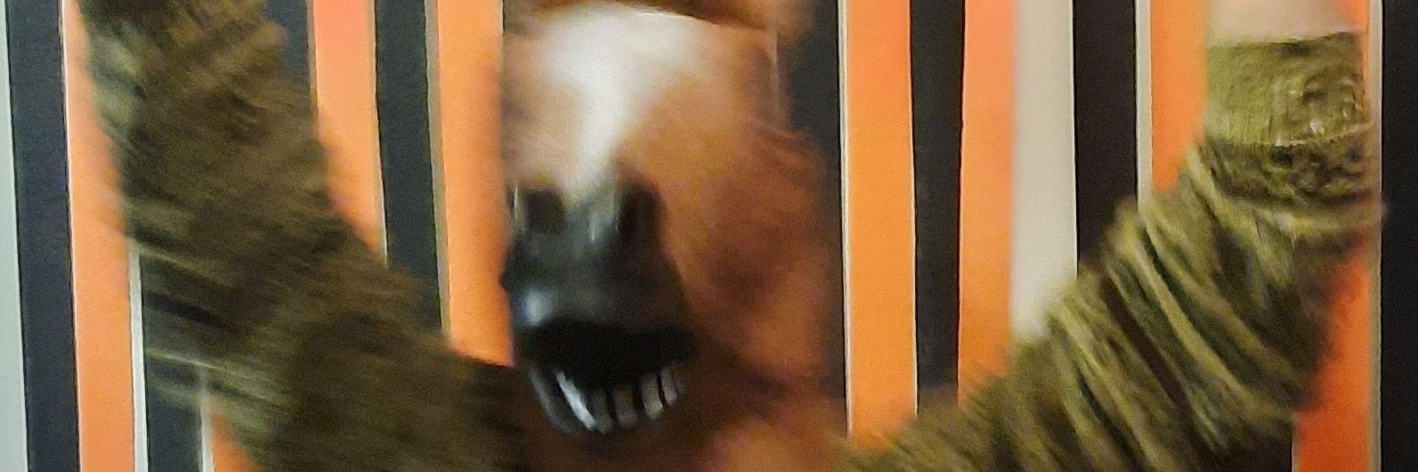 lord 🅱️uron banner