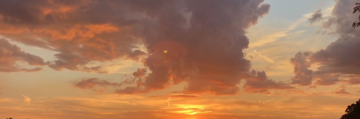 alyss458's profile banner image