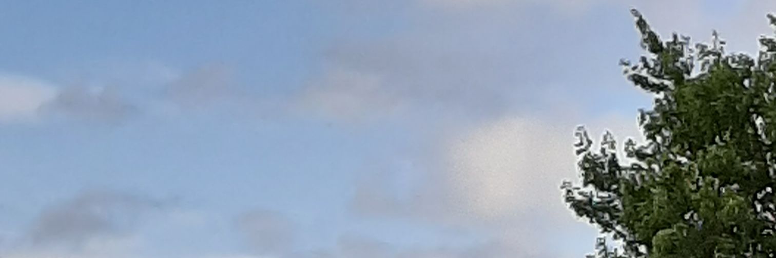dylrum's profile banner image
