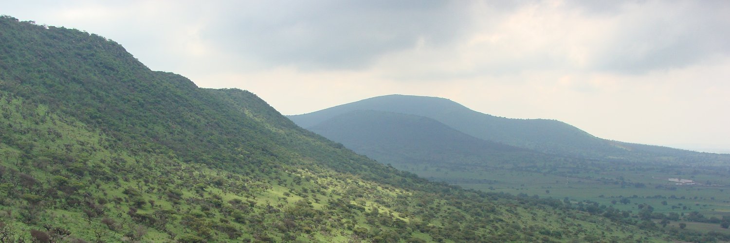 LeopoldoBasurto's profile banner image