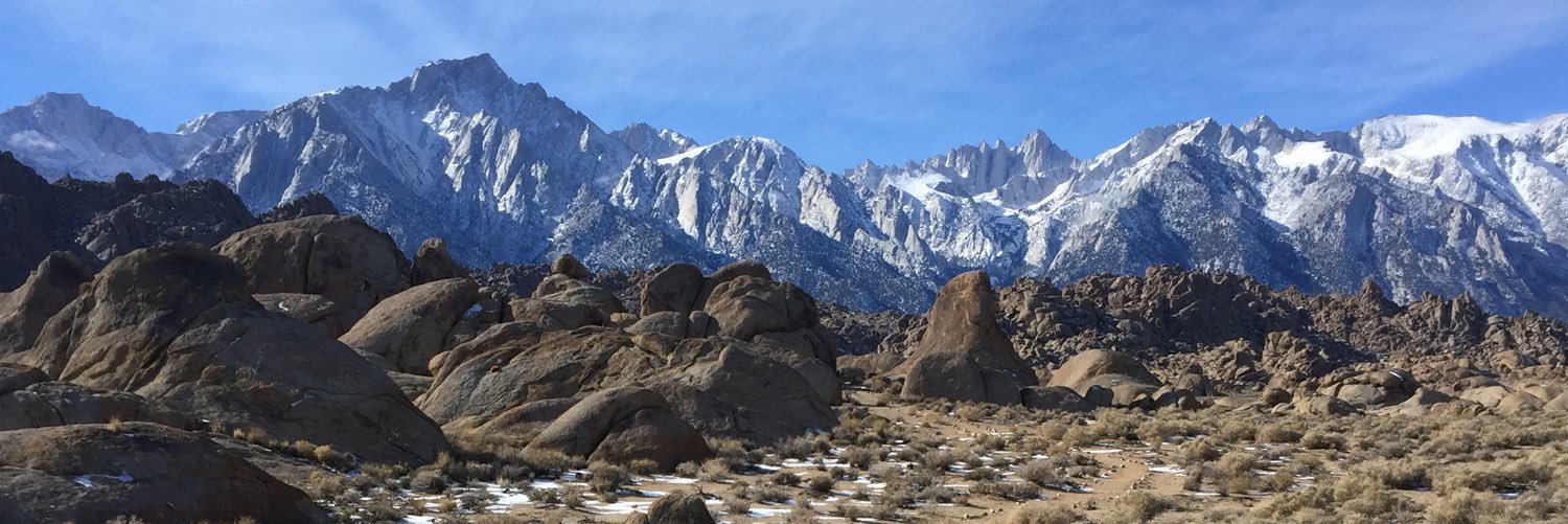 Angelica Gunderson banner