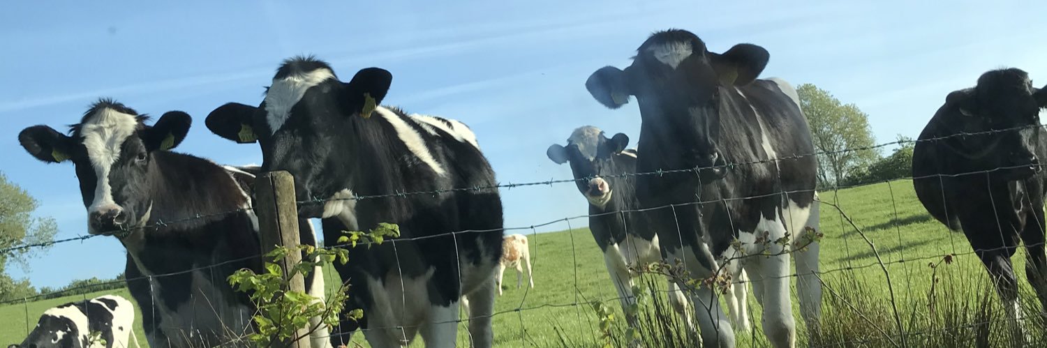Fergal Monaghan banner