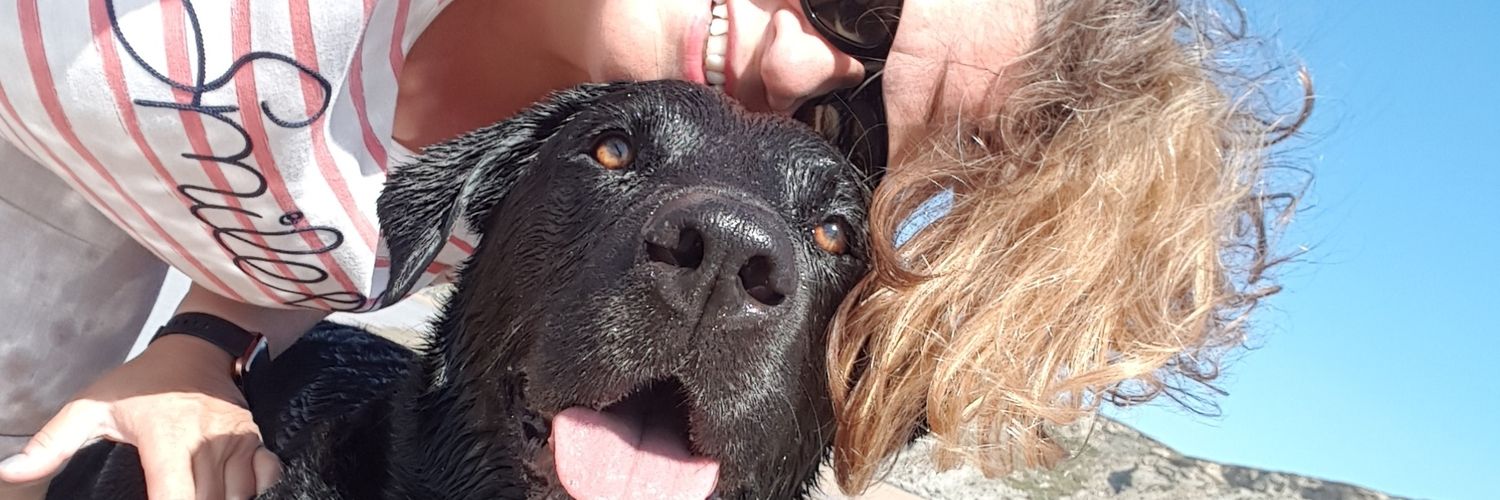 lisariggers's profile banner image