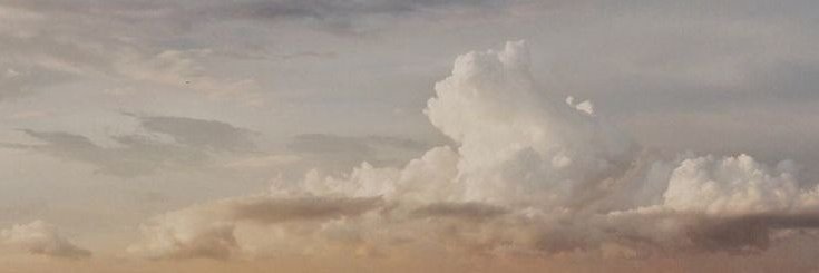 Meeiden's profile banner image