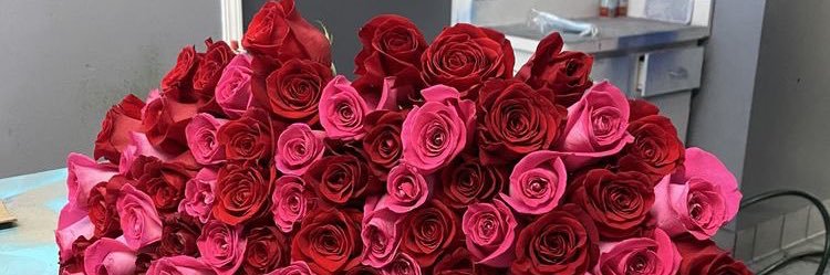 eva_antao's profile banner image